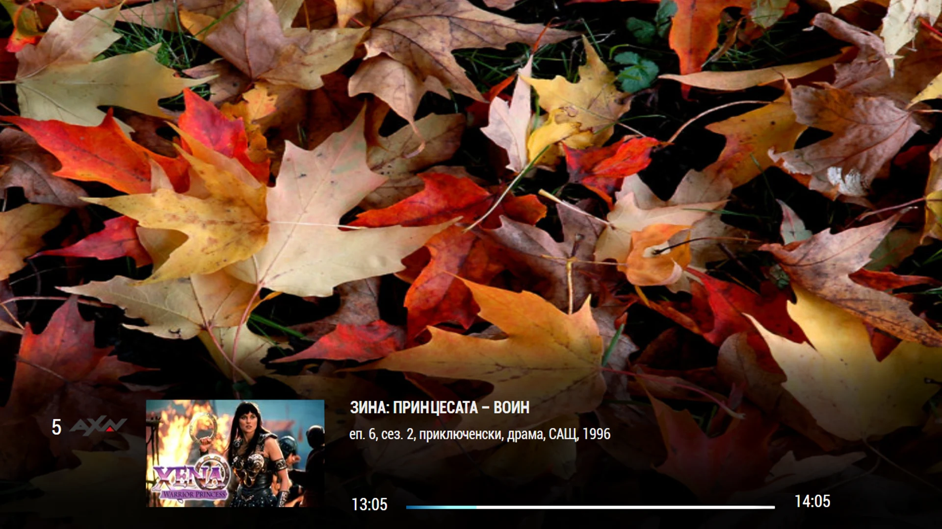 DKTV screenshot